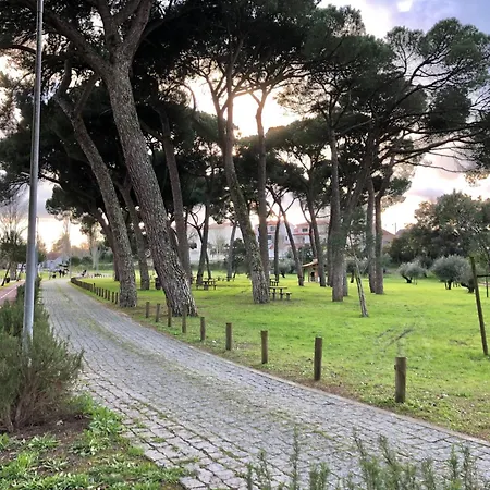 דירה Castelo View *